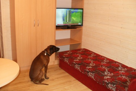 Ośrodek Domków – BLISKO MORZA