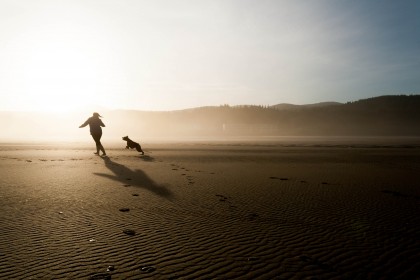 Sopockie plaże dłużej dostępne dla psów!