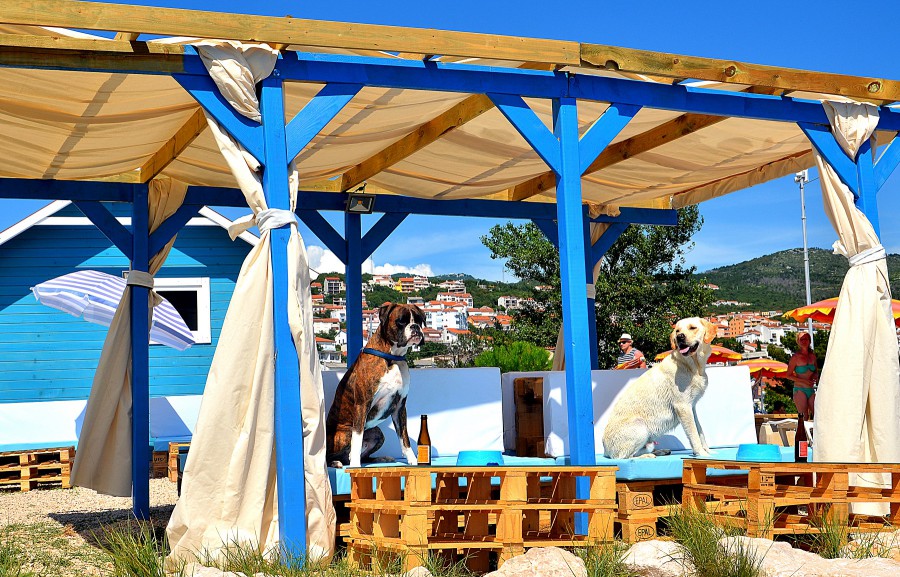 bar-i-plaza-przyjazne-psom_crikvenica_chorwacka-wspolnota-turystyczna2