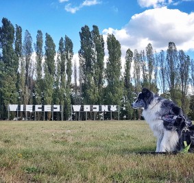 Na spacerze w Gdańsku – dzień na Westerplatte z psem