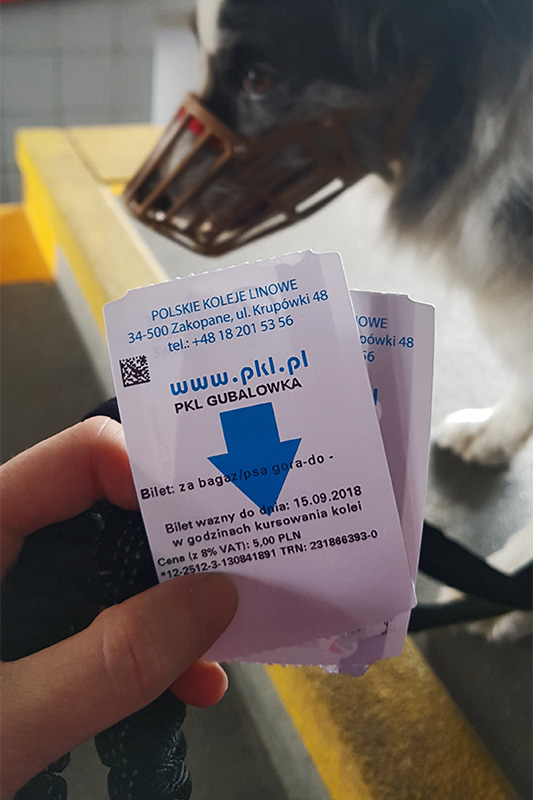 Bilet dla psa na kolejkę